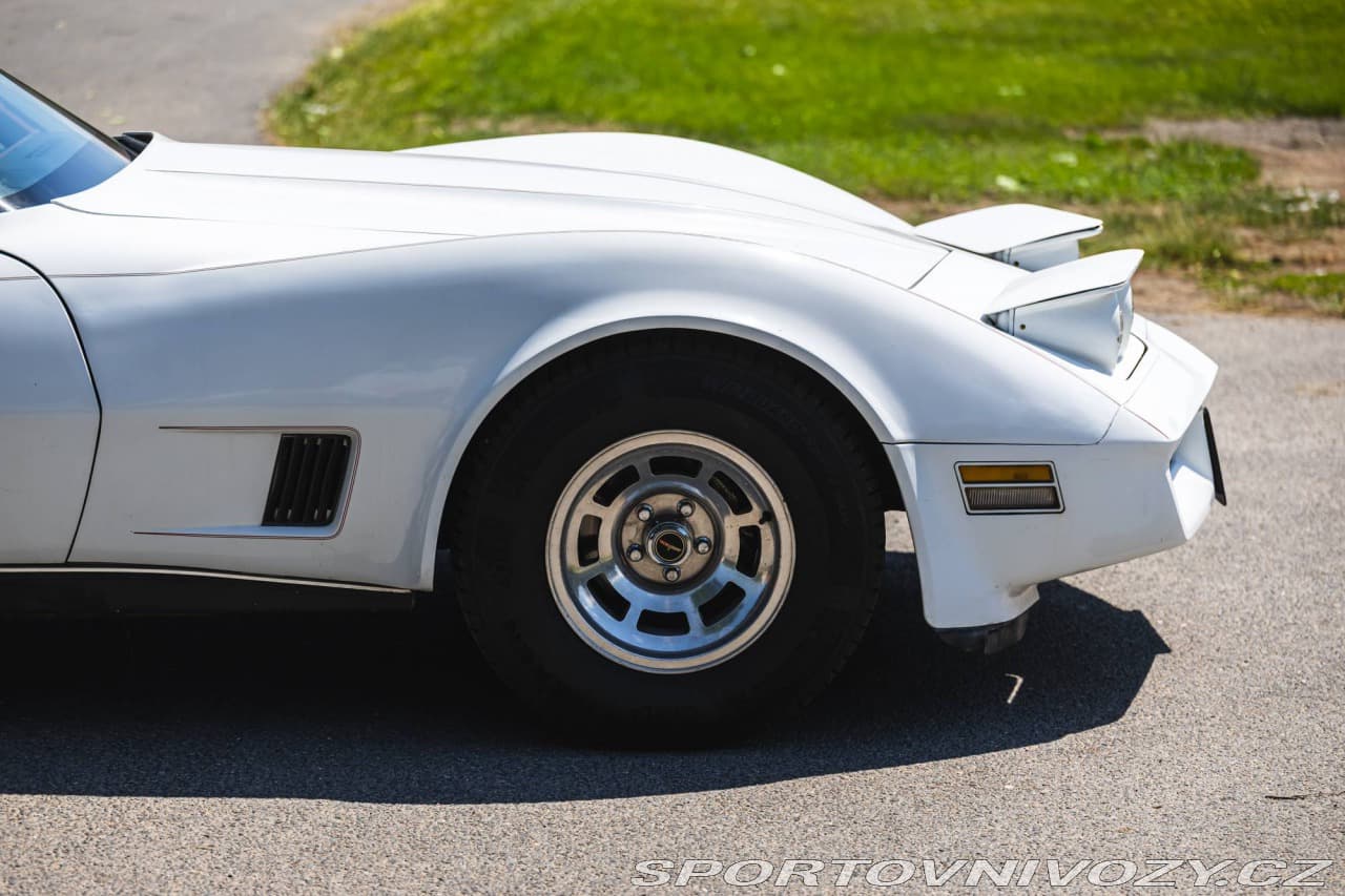 1980 Chevrolet CORVETTE - 18