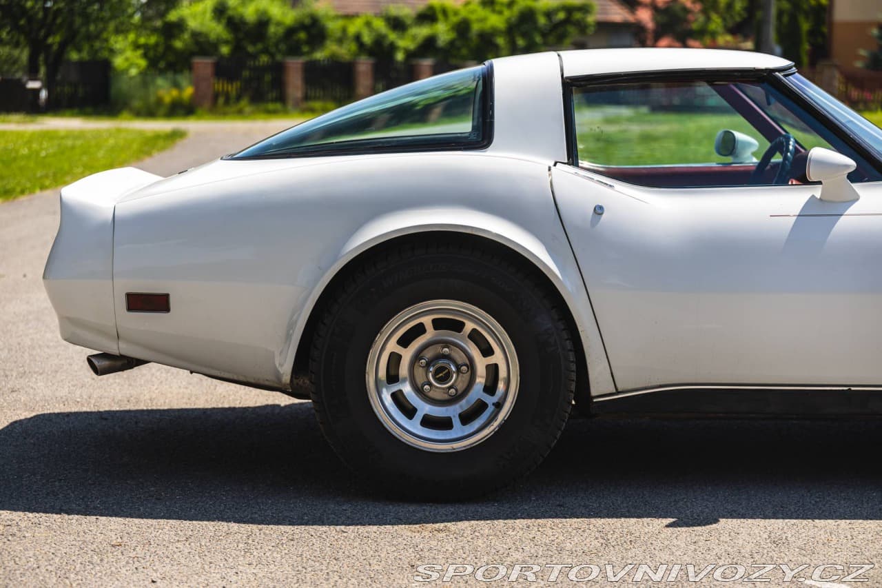 1980 Chevrolet CORVETTE - 19