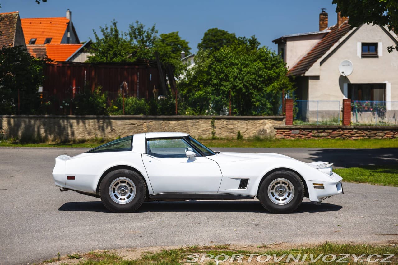 1980 Chevrolet CORVETTE - 2