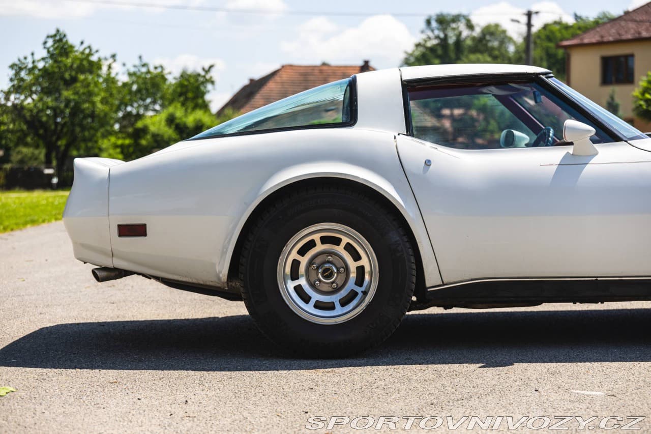 1980 Chevrolet CORVETTE - 20