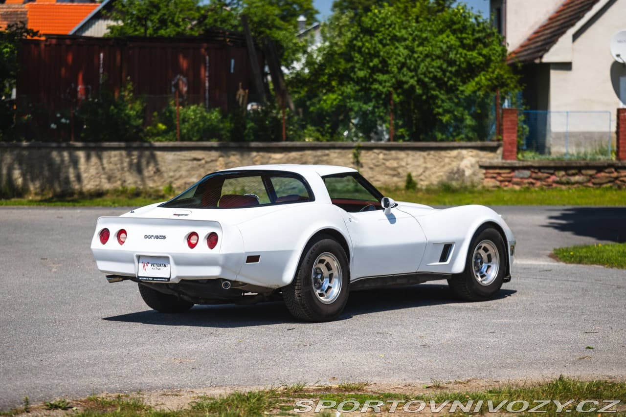 1980 Chevrolet CORVETTE - 3