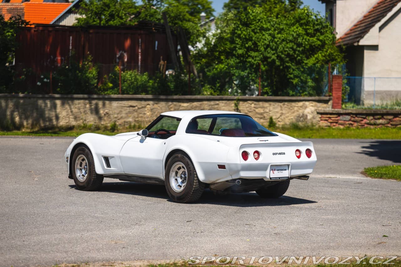 1980 Chevrolet CORVETTE - 4