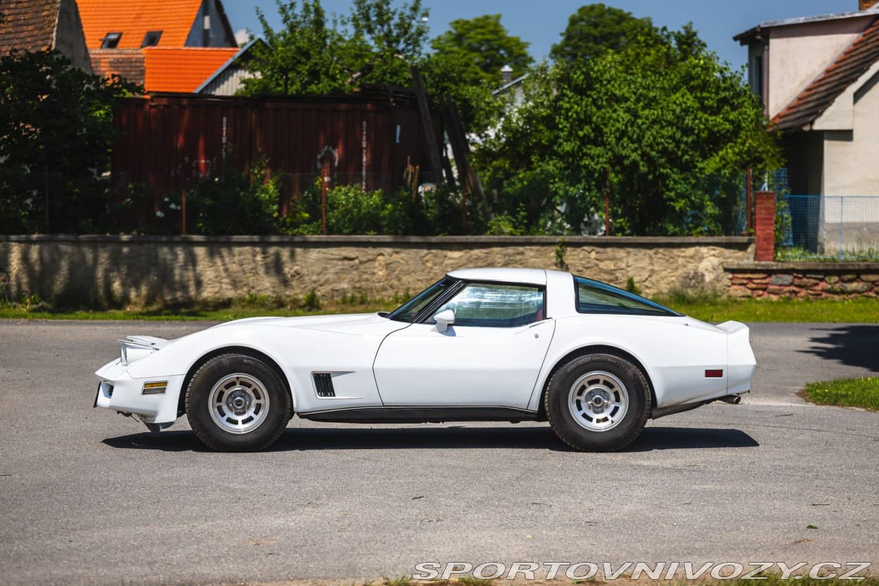 1980 Chevrolet CORVETTE - 5