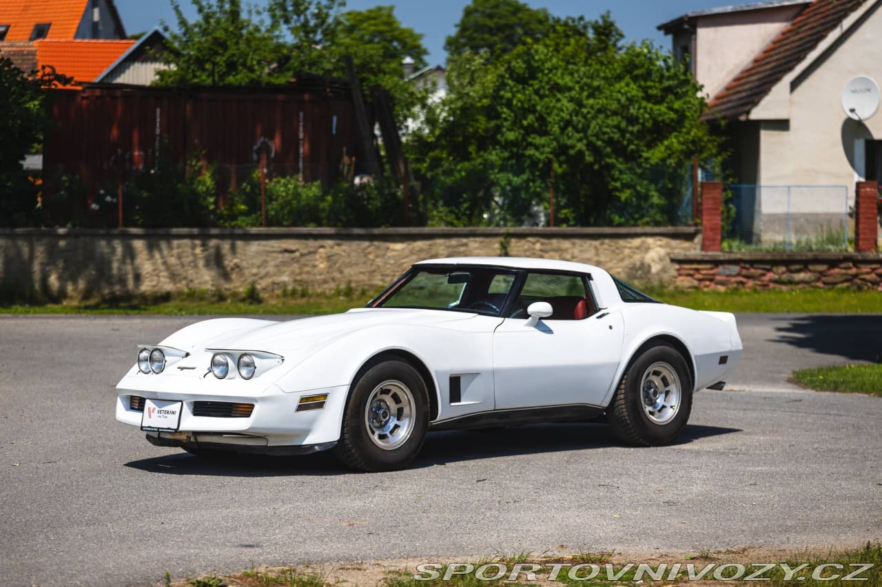 1980 Chevrolet CORVETTE - 6