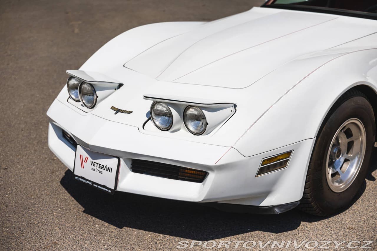 1980 Chevrolet CORVETTE - 7