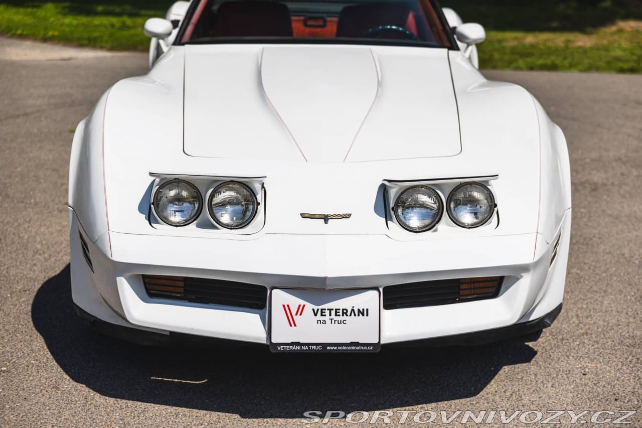 1980 Chevrolet CORVETTE - 8