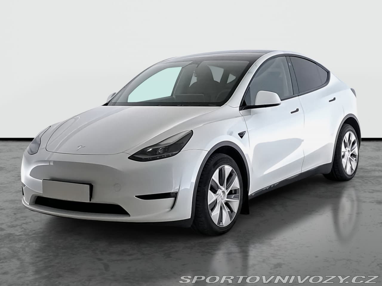 2023 Tesla MODEL Y - 2