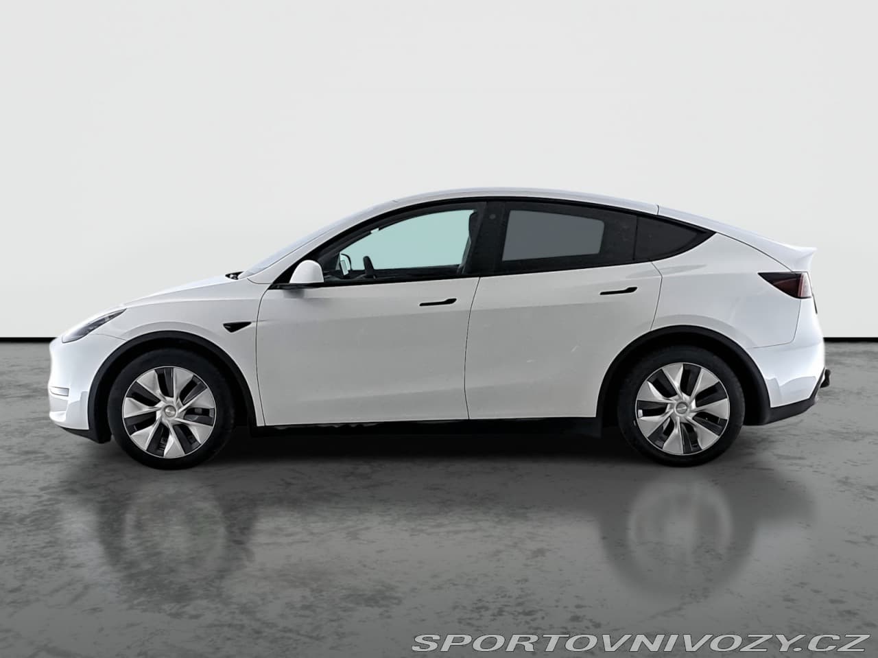 2023 Tesla MODEL Y - 3