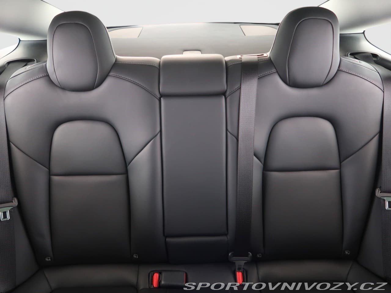 2020 Tesla MODEL 3 - 10