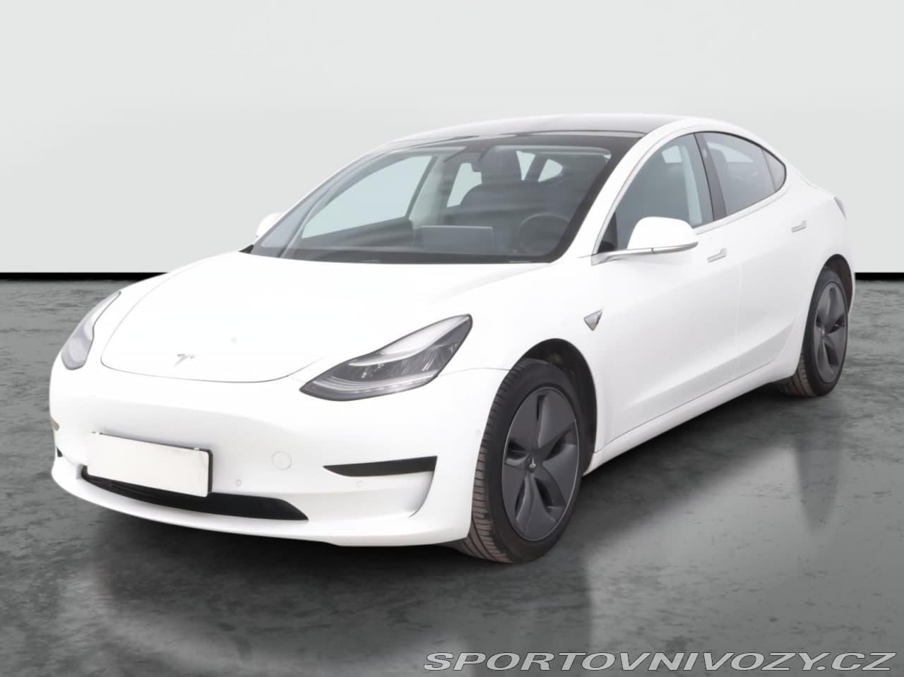 2019 Tesla MODEL 3 - 2