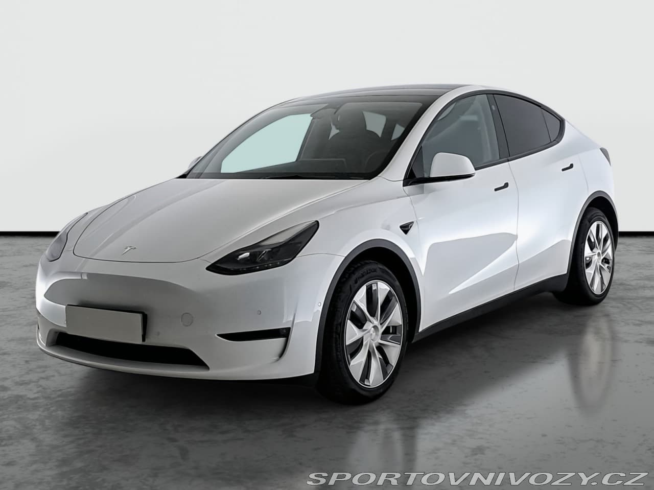 2022 Tesla MODEL Y - 2