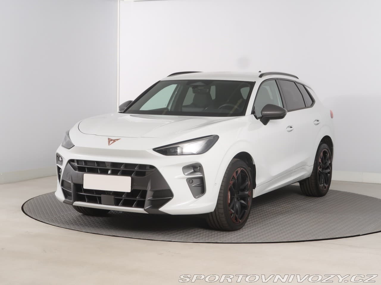 2025 Cupra TERRAMAR - 2