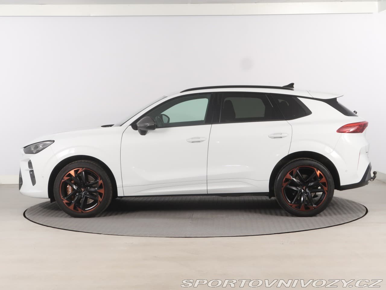 2025 Cupra TERRAMAR - 3