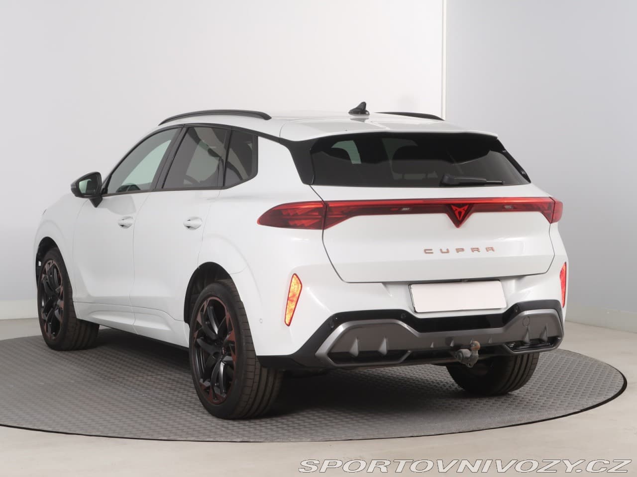 2025 Cupra TERRAMAR - 4