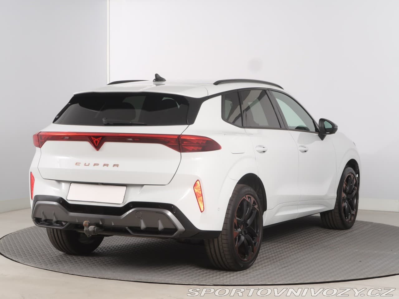 2025 Cupra TERRAMAR - 5