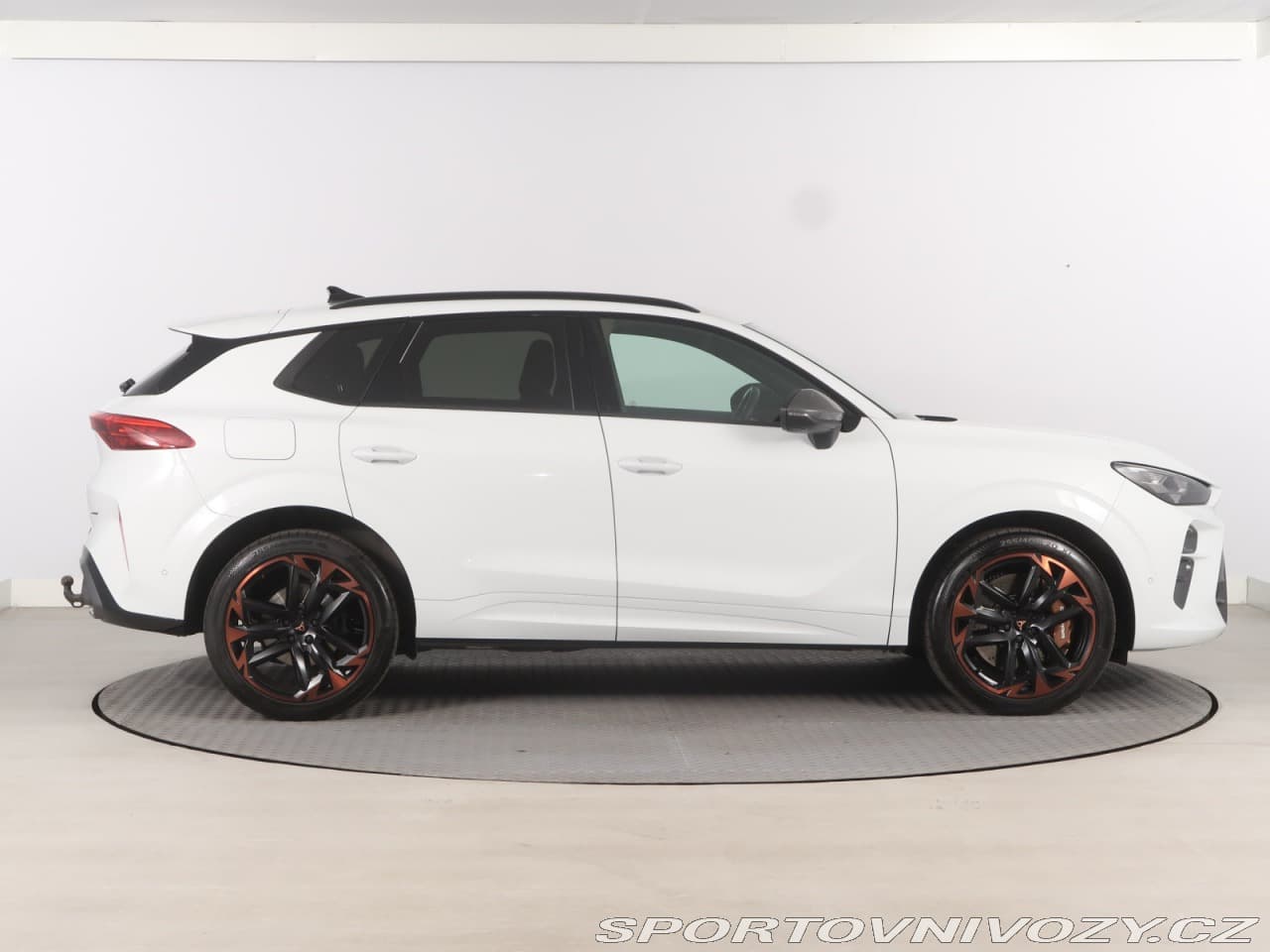 2025 Cupra TERRAMAR - 6
