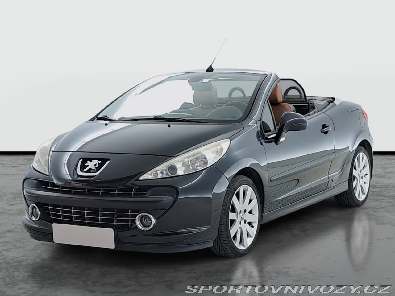 2007 Peugeot 207 - 2