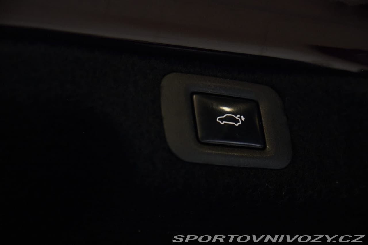 2019 Lexus OSTATNÍ - 12