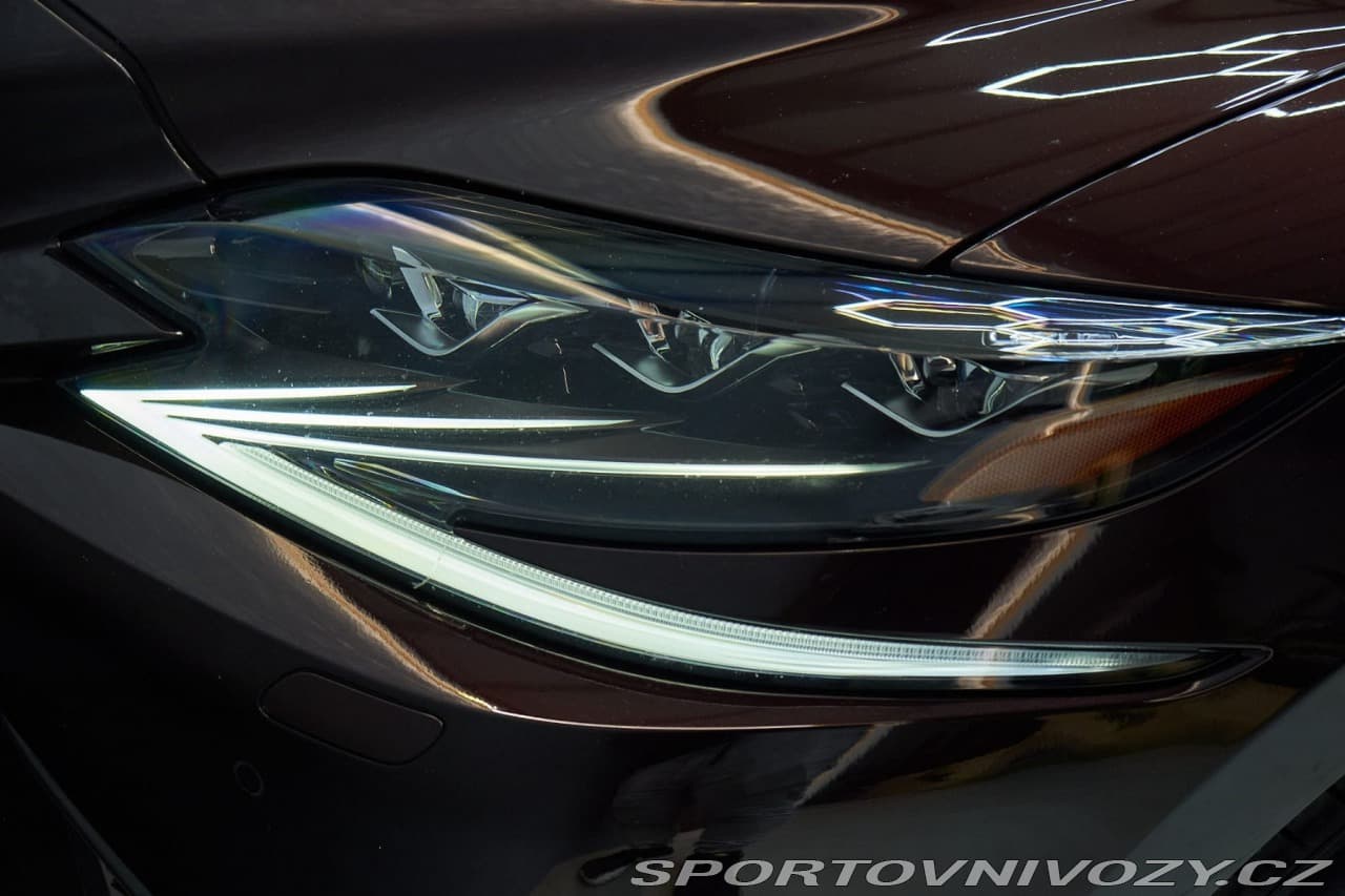 2019 Lexus OSTATNÍ - 7