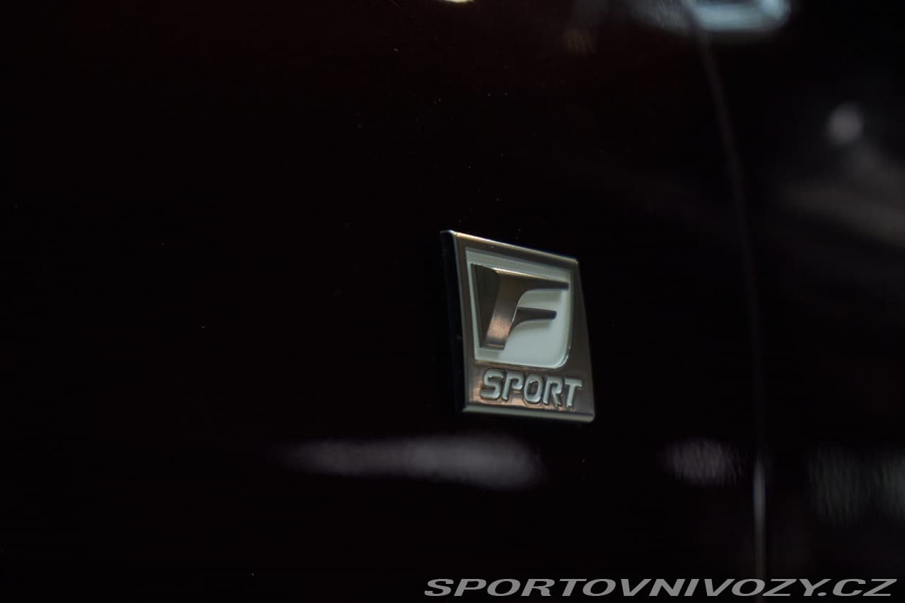 2019 Lexus OSTATNÍ - 9