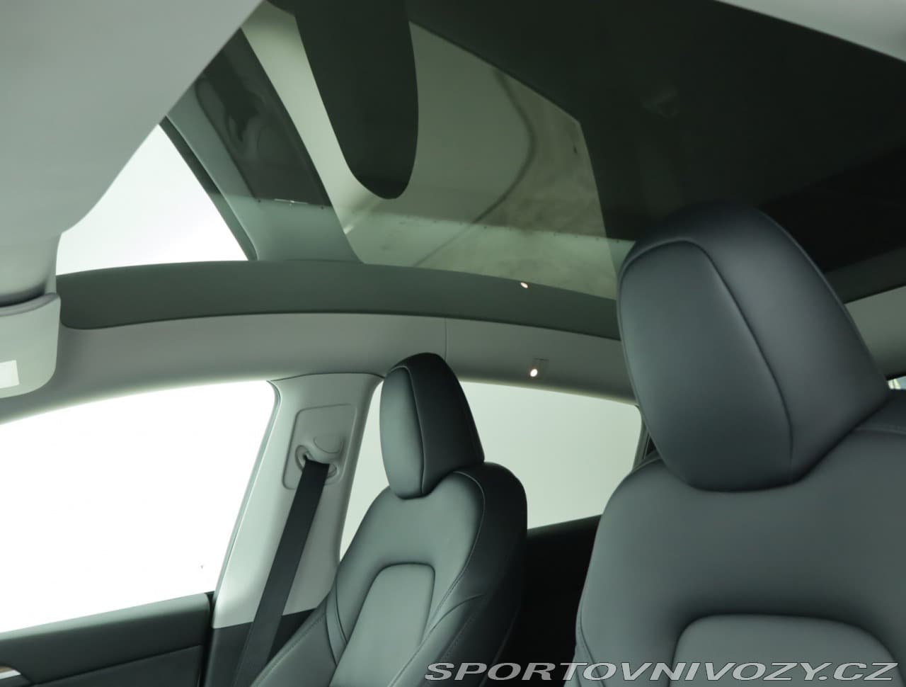 2023 Tesla MODEL Y - 16
