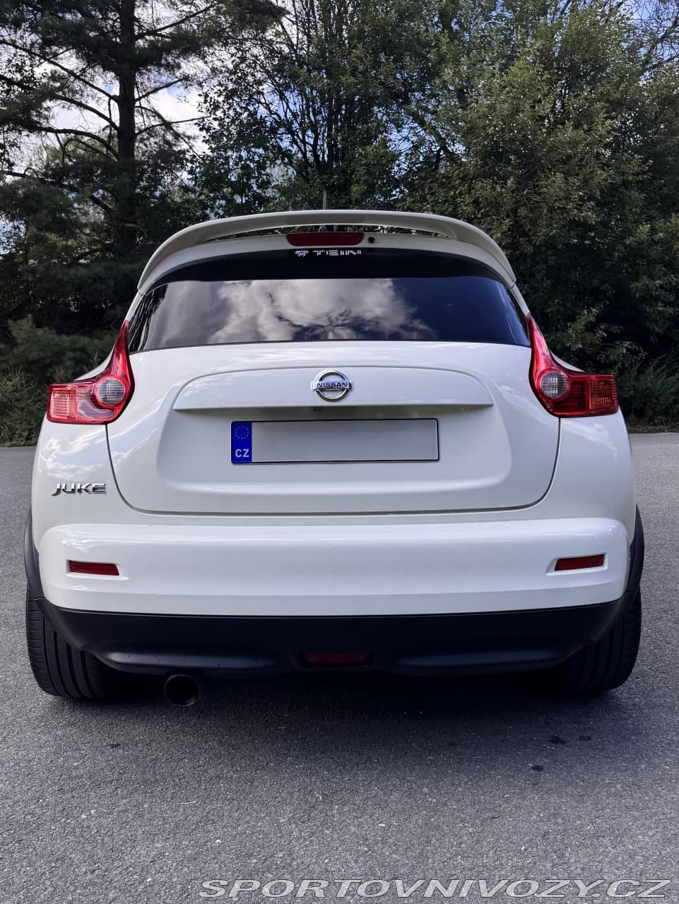 2013 Nissan OSTATNÍ - 5