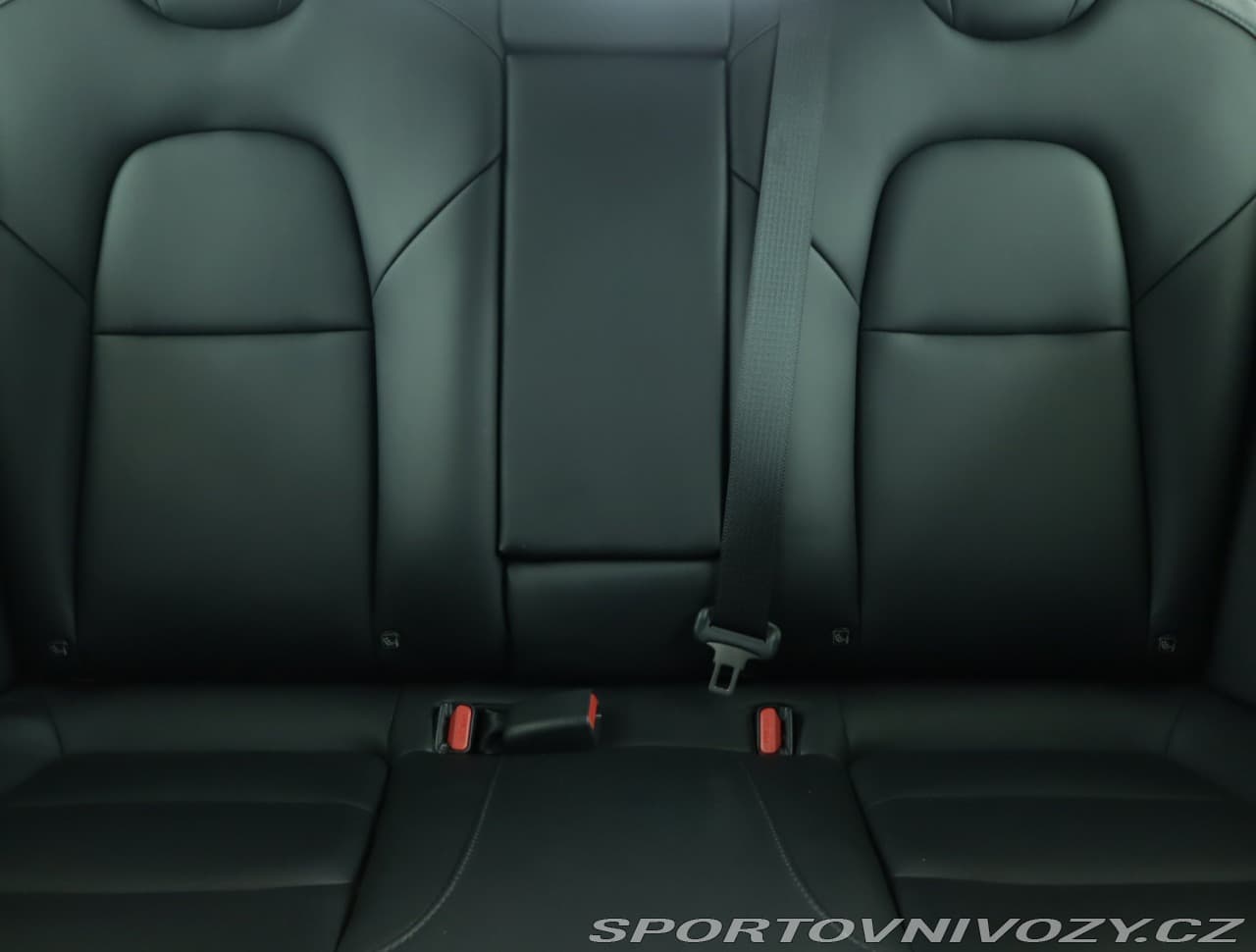 2020 Tesla MODEL 3 - 10