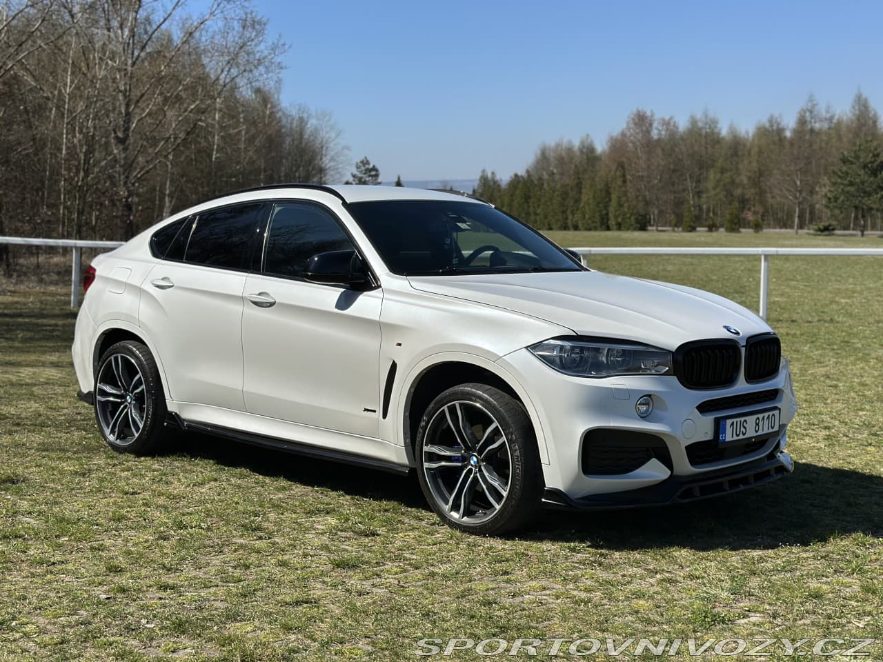 2017 BMW X6