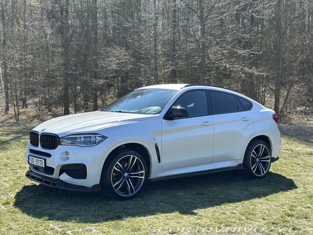 2017 BMW X6 - 2