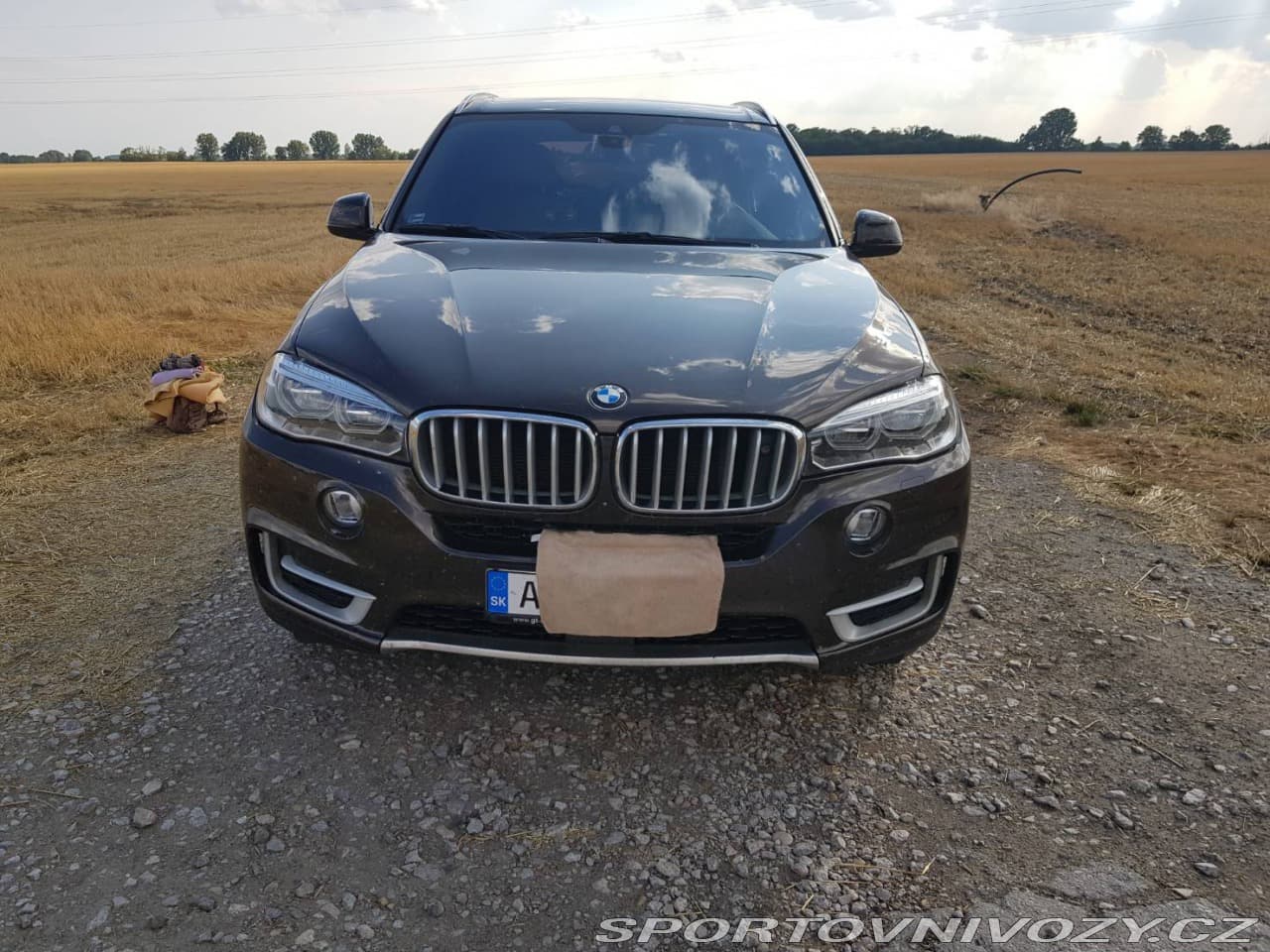 2017 BMW X5 - 9