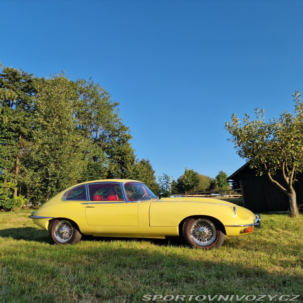 1968 Jaguar E-TYPE - 2
