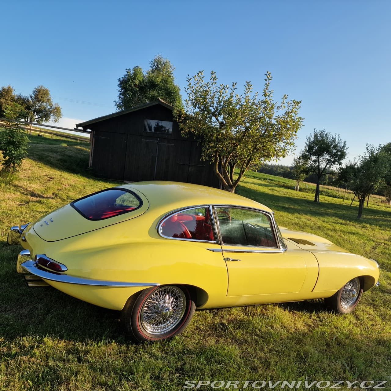 1968 Jaguar E-TYPE - 3