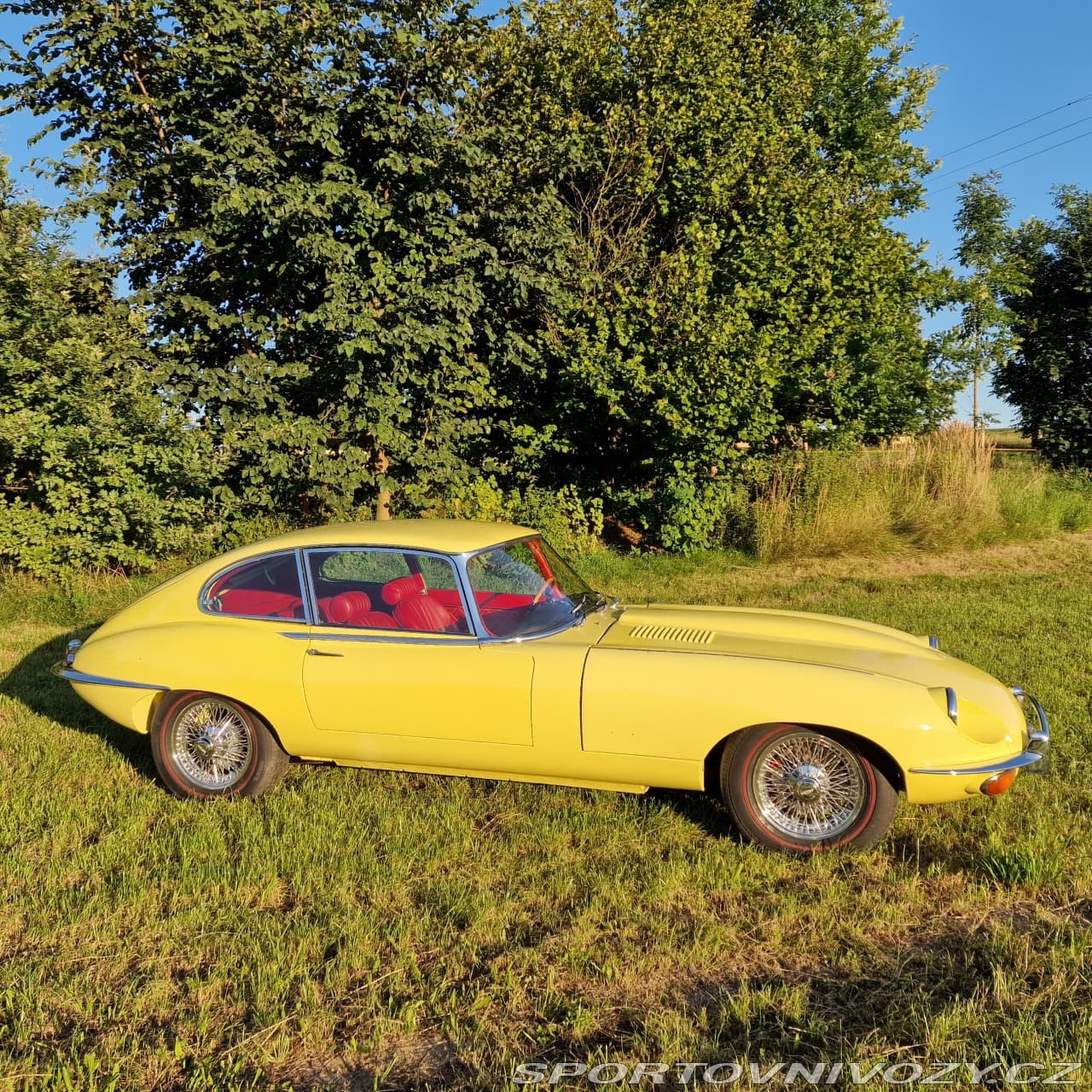 1968 Jaguar E-TYPE - 6