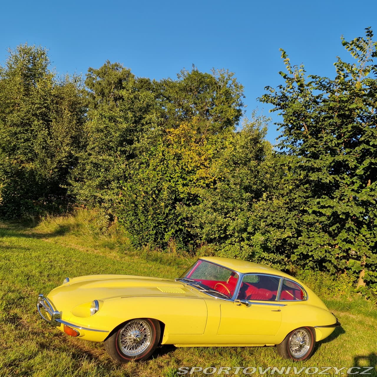 1968 Jaguar E-TYPE - 9