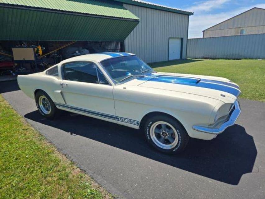 1966 Ford MUSTANG - 3