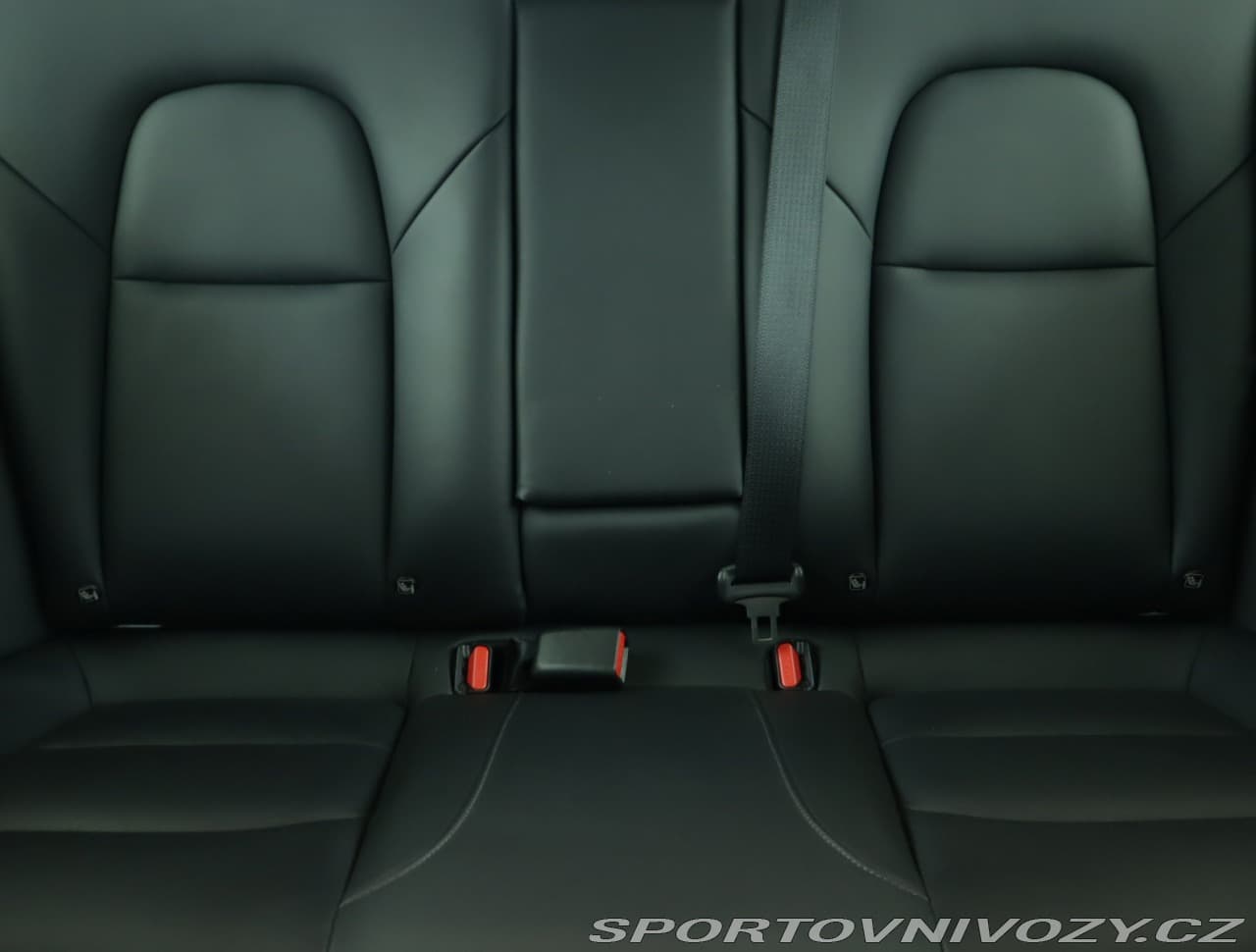 2021 Tesla MODEL 3 - 10