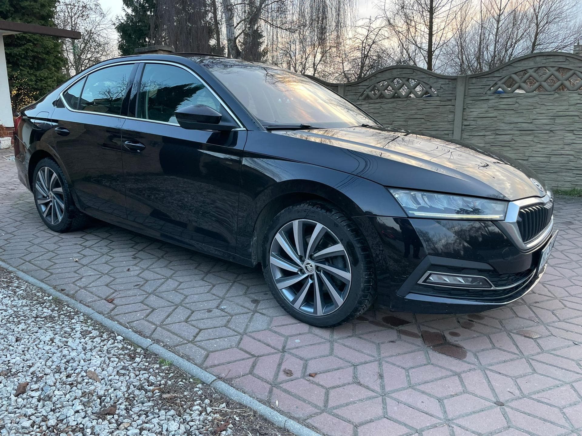 2021 Škoda Octavia