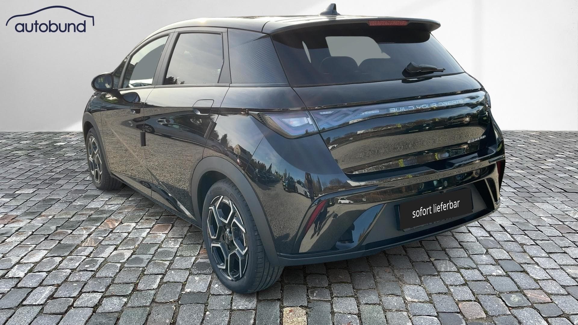 2025 BYD DOLPHIN