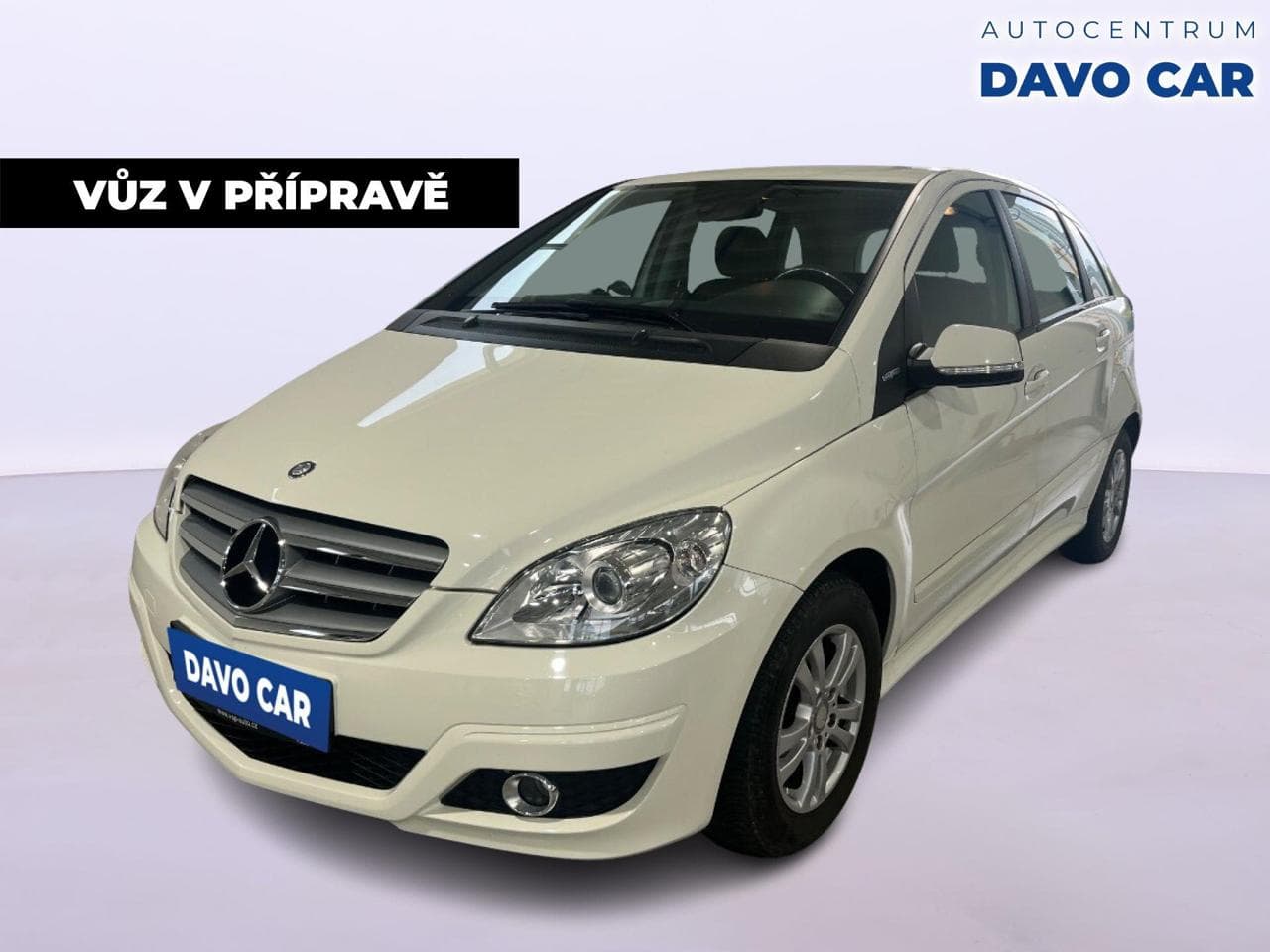 2010 Mercedes-Benz B-CLASS