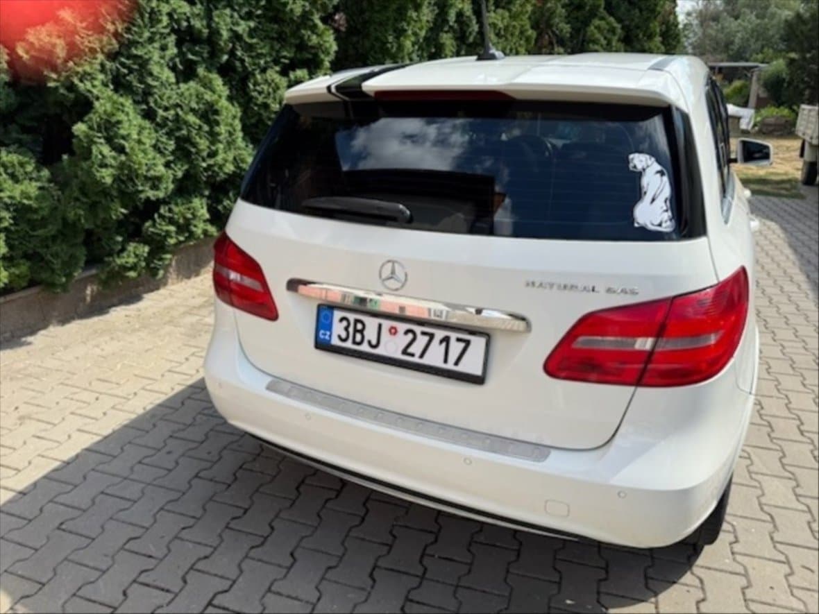 2015 Mercedes-Benz B-CLASS