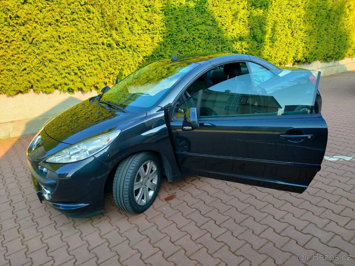 2009 Peugeot 207