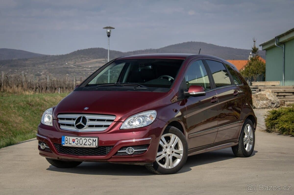 2010 Mercedes-Benz OSTATNÍ