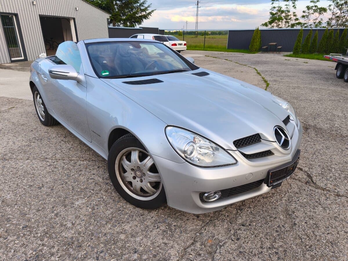 2010 Mercedes-Benz OSTATNÍ