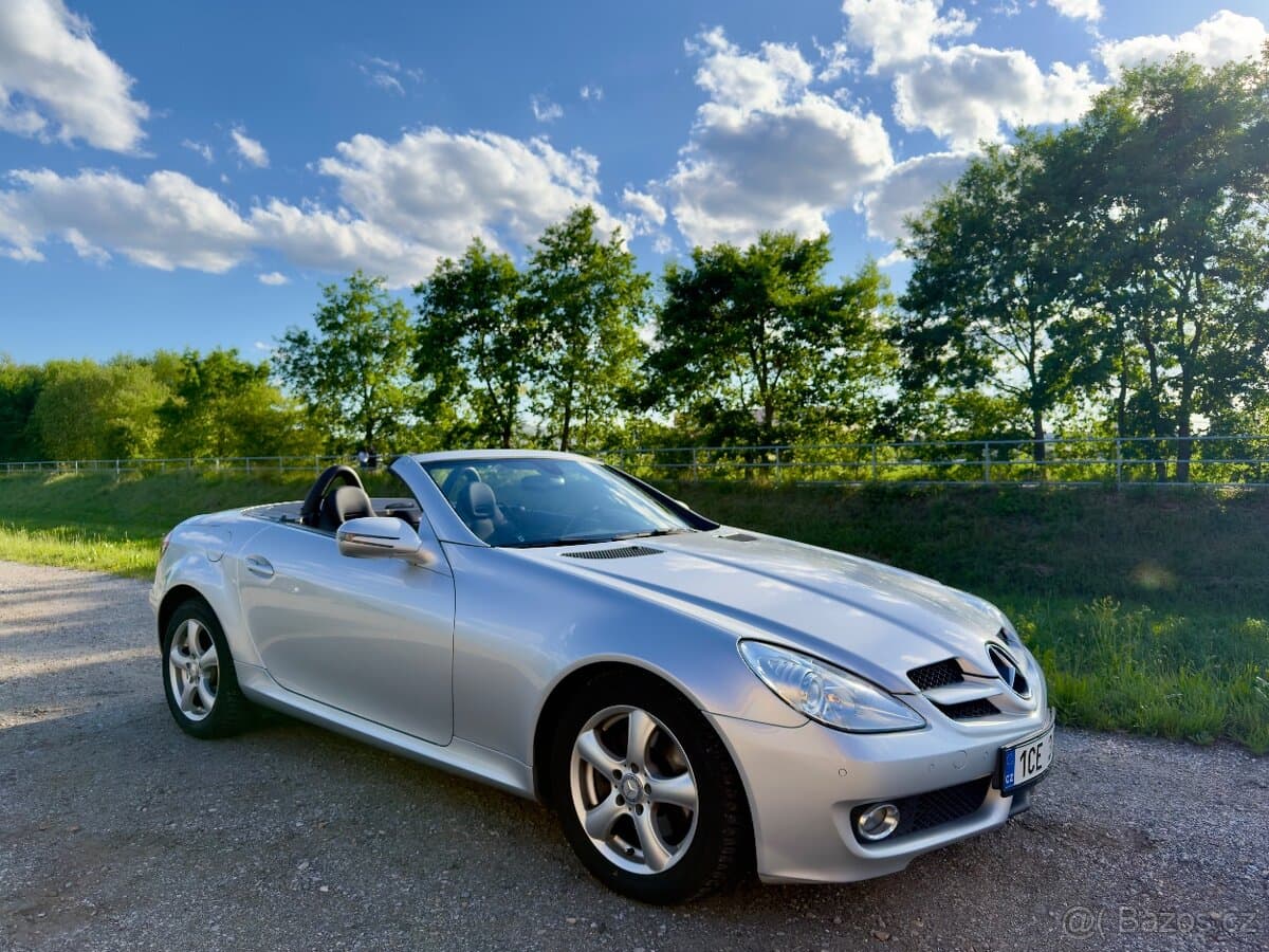 2010 Mercedes-Benz OSTATNÍ