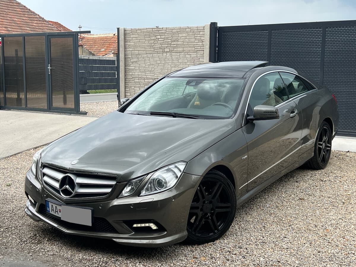 2010 Mercedes-Benz OSTATNÍ