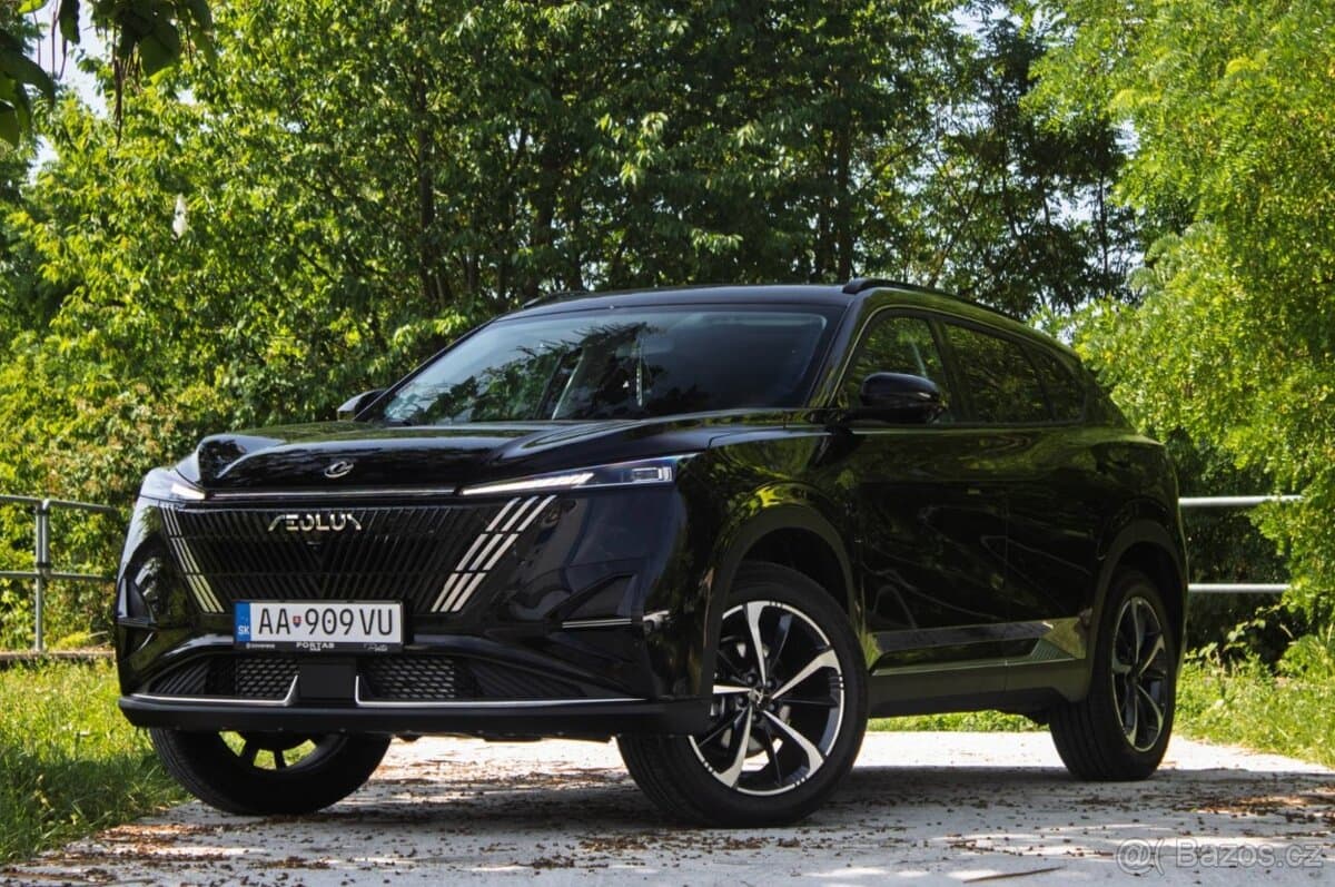 2025 Dongfeng MAGE