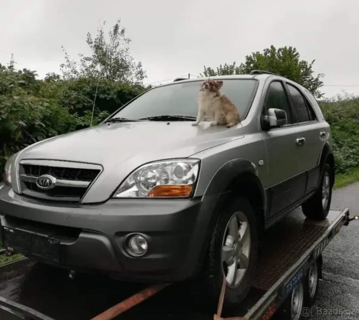 2010 Kia SORENTO
