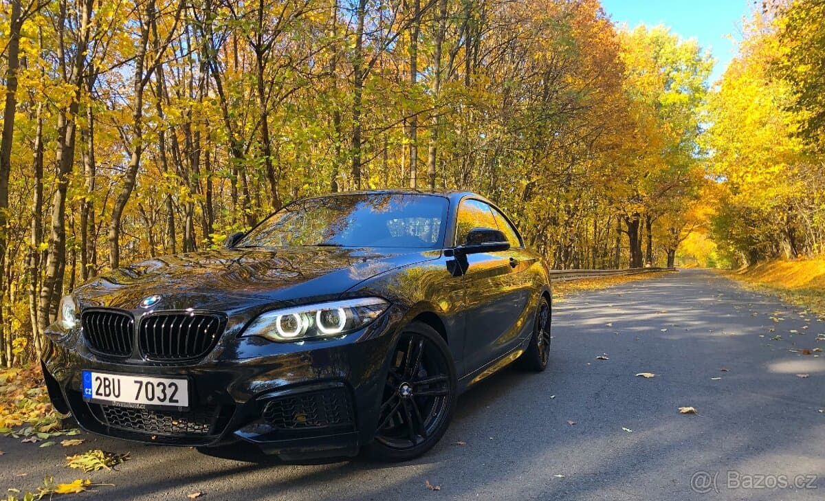 2019 BMW M2