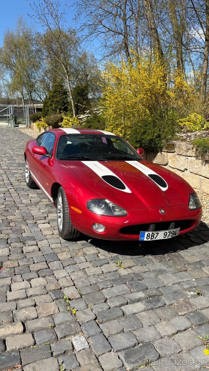 Jaguar OSTATNÍ