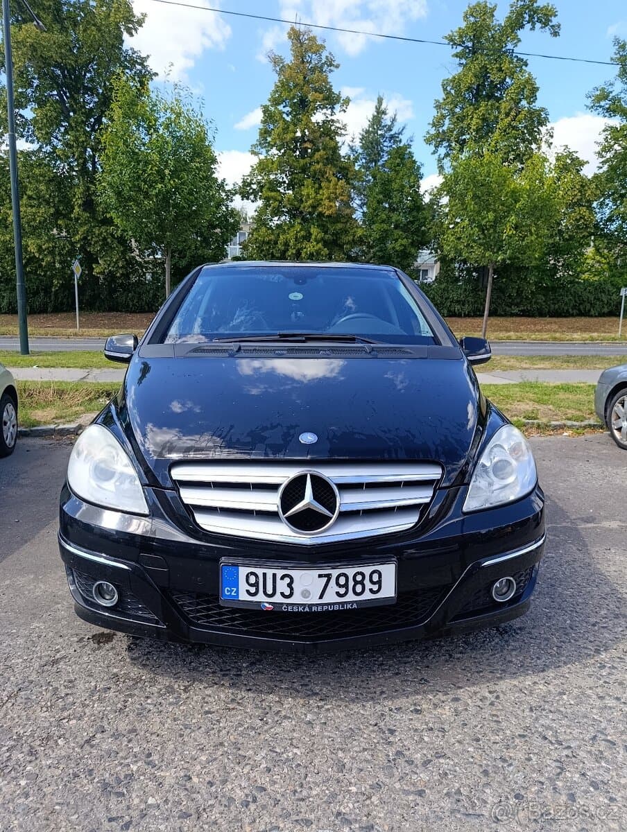 2010 Mercedes-Benz B-CLASS